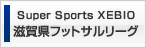 トップリーグ